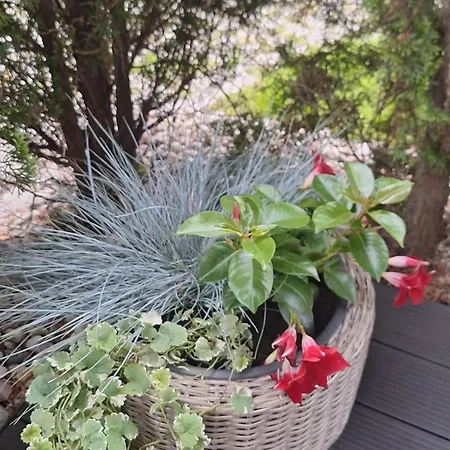 Apartament Morski * Gdynia