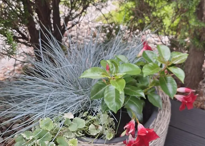 Apartament Morski * Gdynia